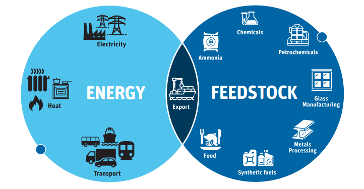 Venn diagram infographic showing the overlap between Energy and Feedstock