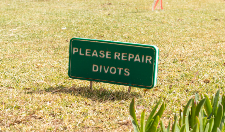 sign saying 'please repair divots'