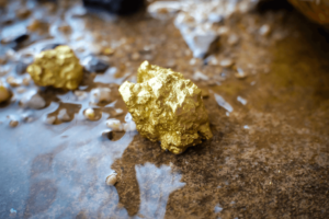 two large gold nuggets sitting on a wet stone