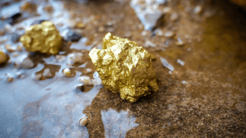 two large gold nuggets sitting on a wet stone