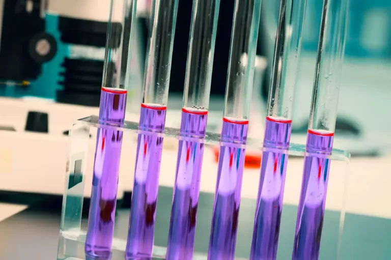 A set of test tubes in a biology lab filled, each filled with purple liquid