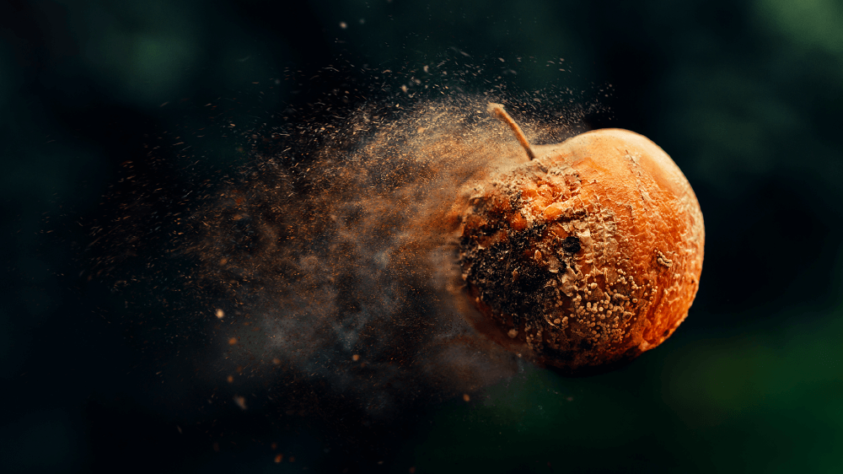 an apple rotting and turning to ash on a dark background
