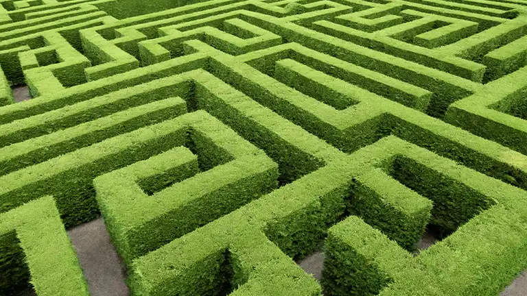 hedge maze