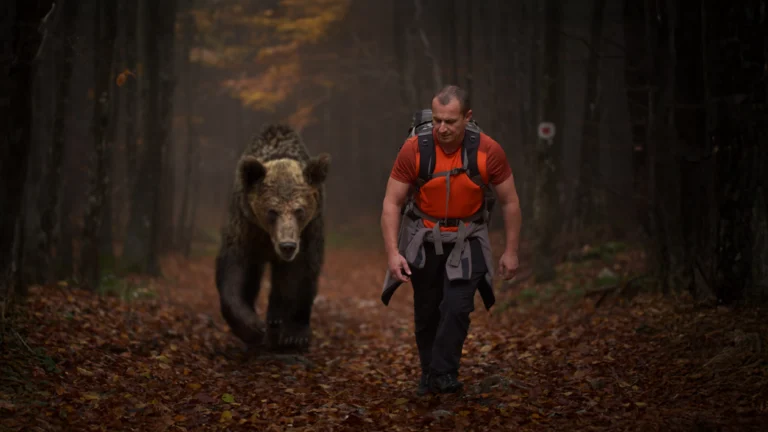 A man and a grizzly bear walking in the woods.